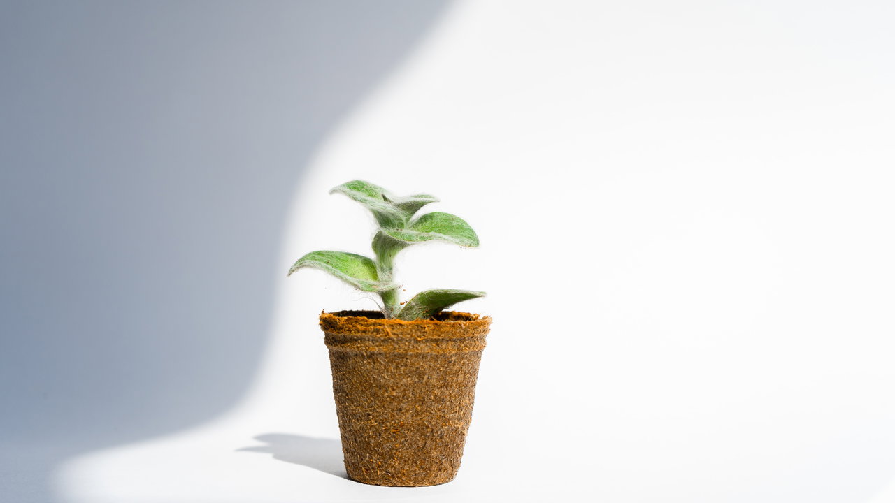 Tre quarti delle aziende avrà un programma ESG entro 4 anni