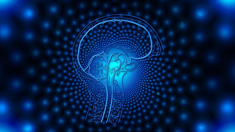 Gli input vaghi e generici non sono da condannare