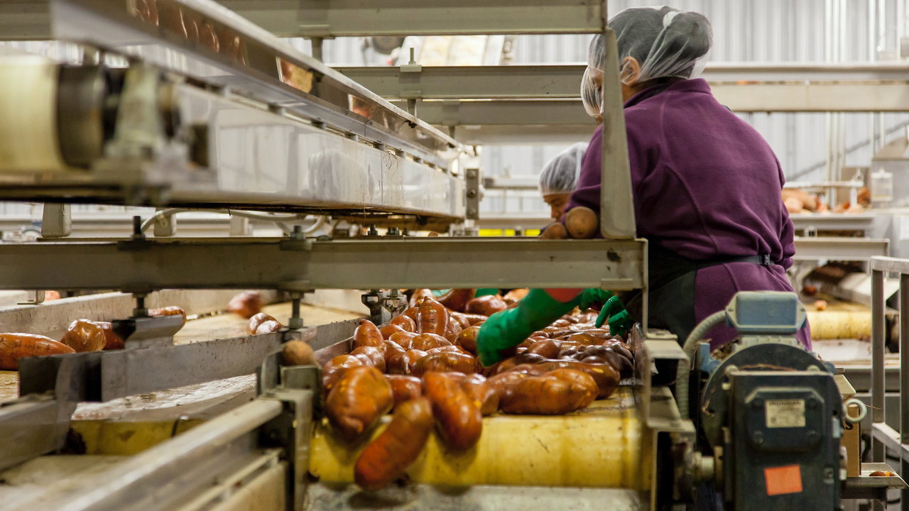 Le tecnologie data-driven ottimizzano la supply chain