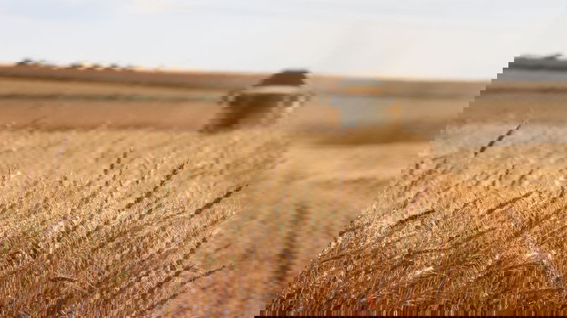 L’agricoltura 4.0 in Italia vale oltre 2 miliardi di euro