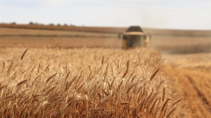 L’agricoltura 4.0 in Italia vale oltre 2 miliardi di euro
