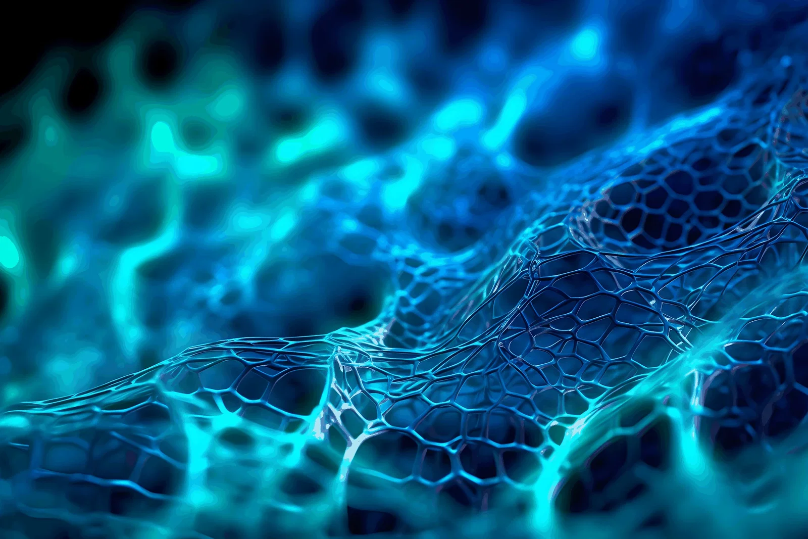 rete neurale