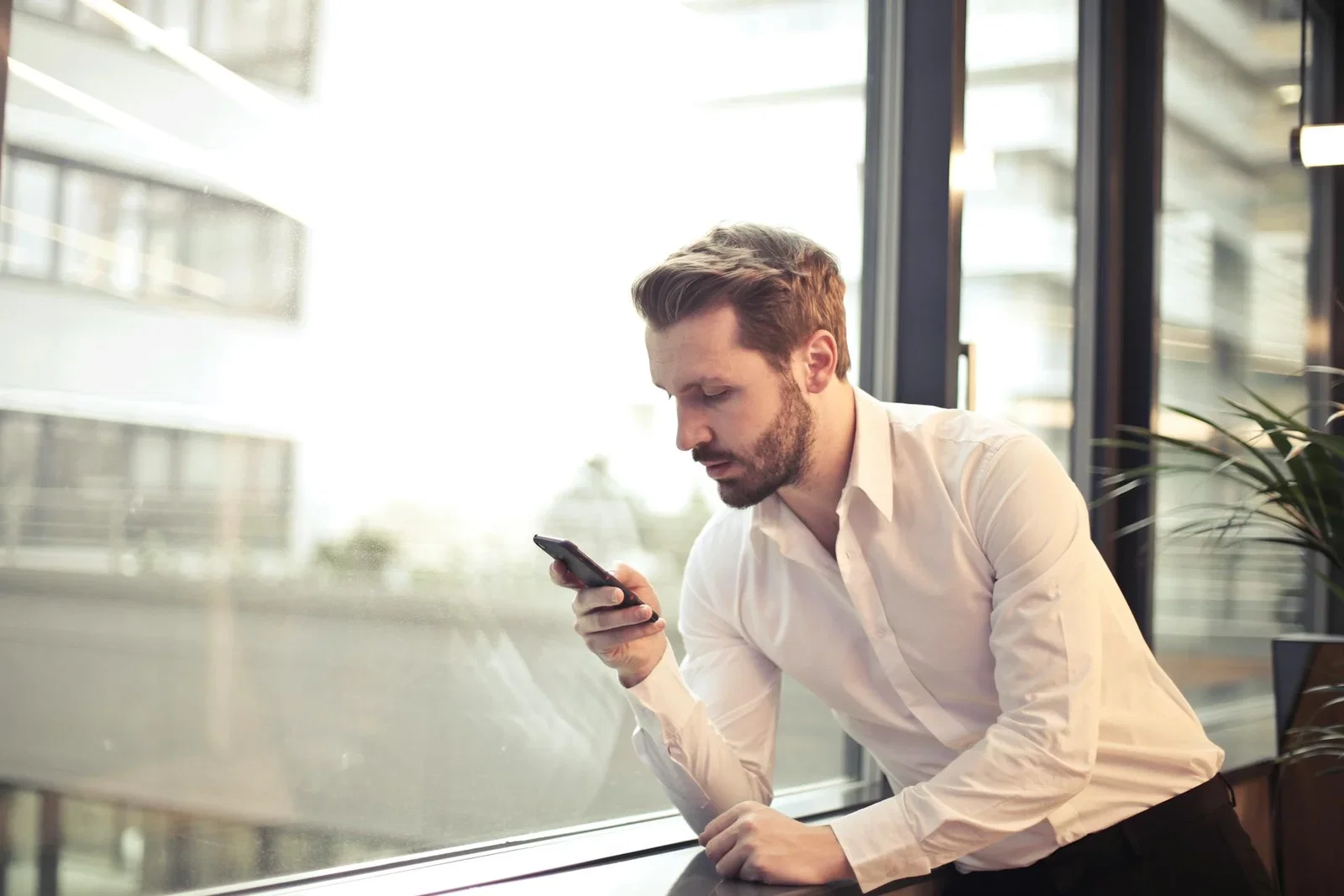 smartphone business