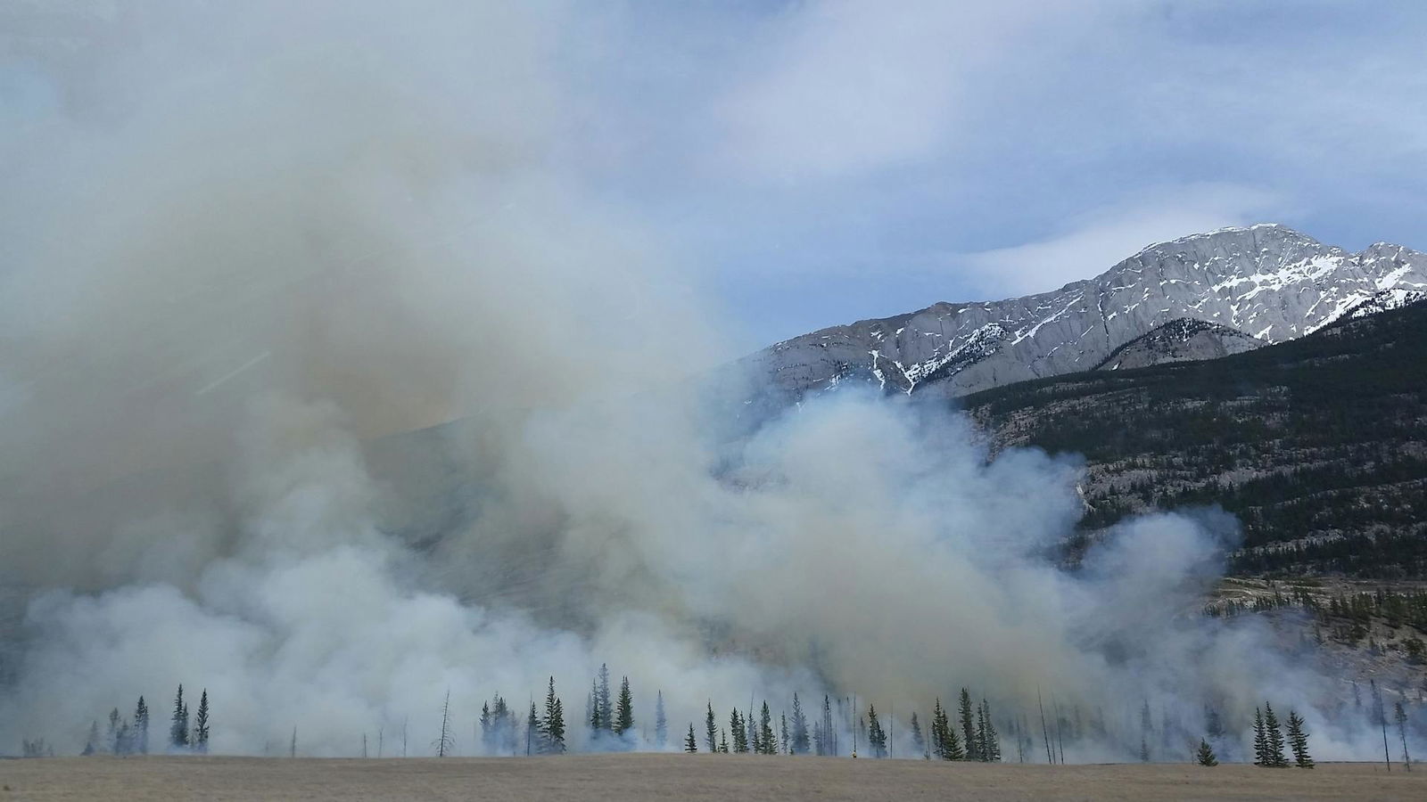 incendio boschivo