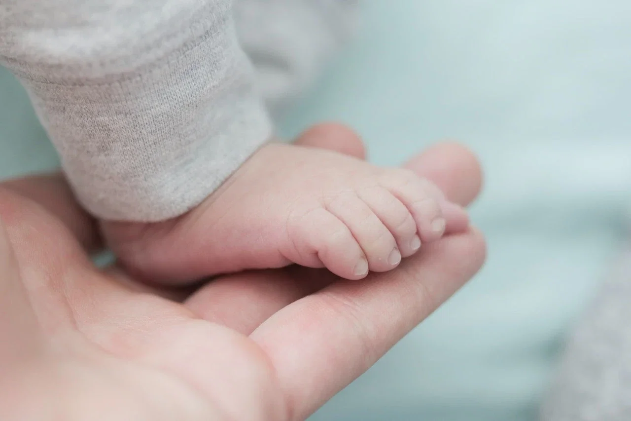 neonatologia