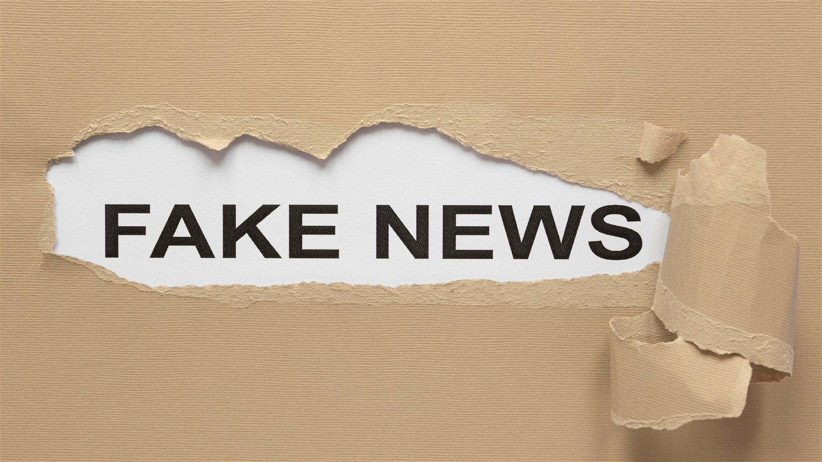 fake news disinformazione