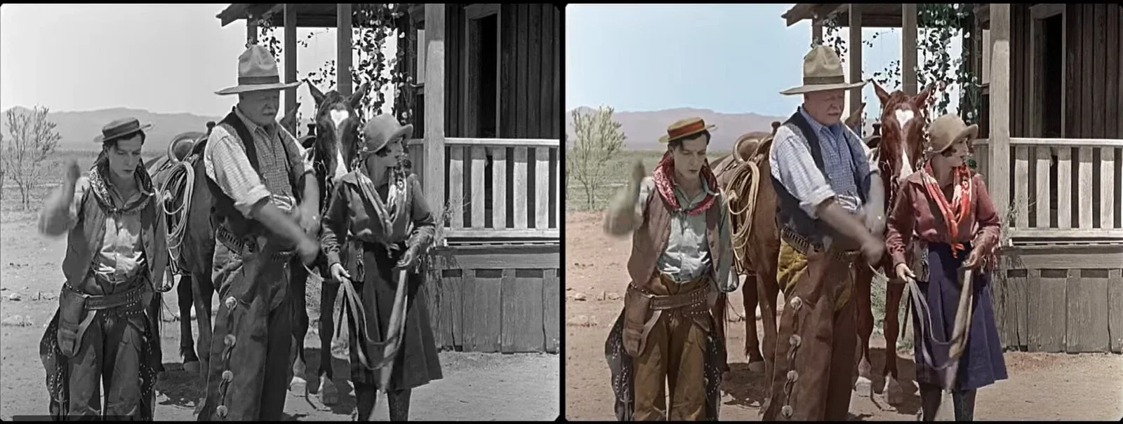 Colorization