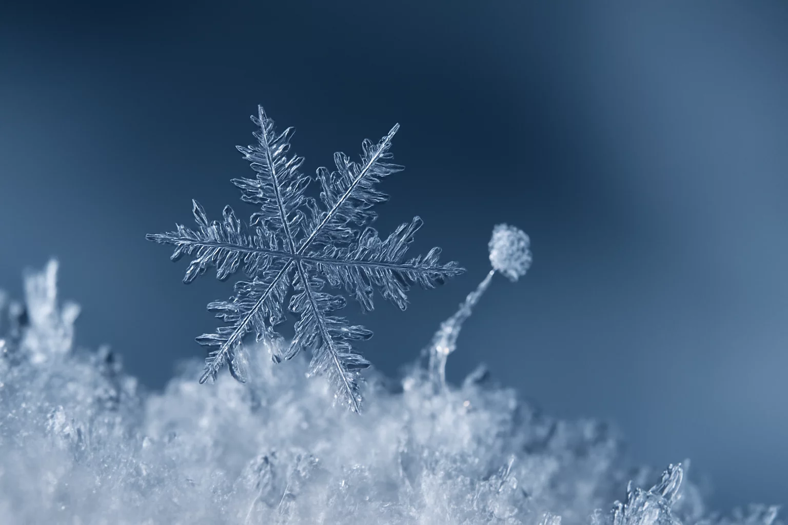 Snowflake acquisisce Natoma per la sicurezza IA
