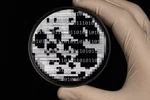 OpenAI e Anthropic contro le armi biologiche da IA
