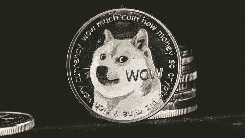 Trump apre i dati a Musk: DOGE in prima linea