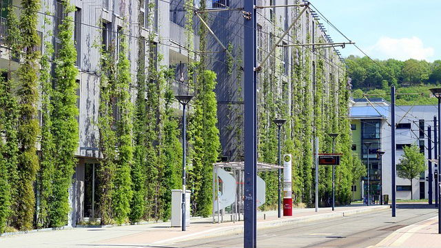 Greenwashing: le insidie dietro il marketing verde
