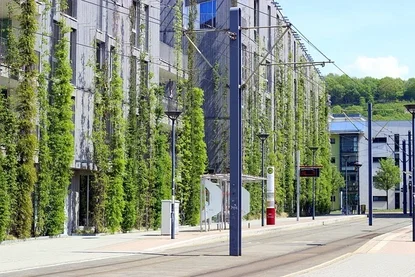 Greenwashing: le insidie dietro il marketing verde
