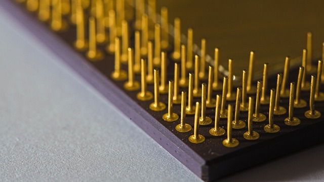 Microchip oltre i confini: la via del contrabbando