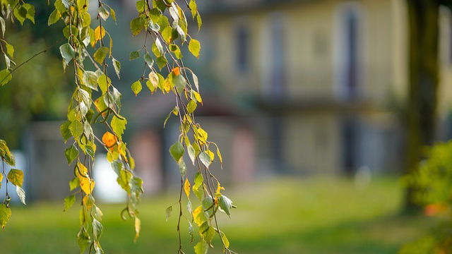 Strategie AI-first: sfide per ambiente e salute