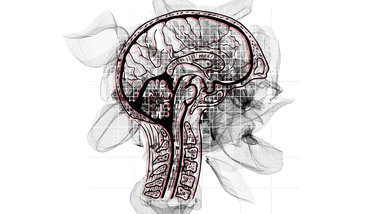 Prevedere il rischio di demenza sfruttando l'intelligenza artificiale