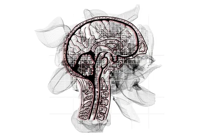 Prevedere il rischio di demenza sfruttando l'intelligenza artificiale
